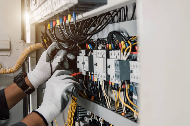 Best Electric Panel Repair  in South Dos Palos, CA